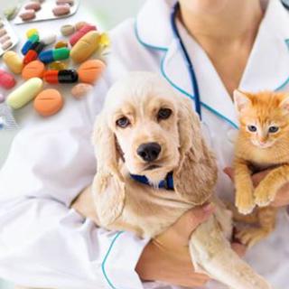 Chronique vétérinaire: médicaments et rôle des vétérinaires. [DR]