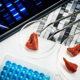 La viande cultivée en laboratoire séduit l'industrie alimentaire. [Phanie via AFP]