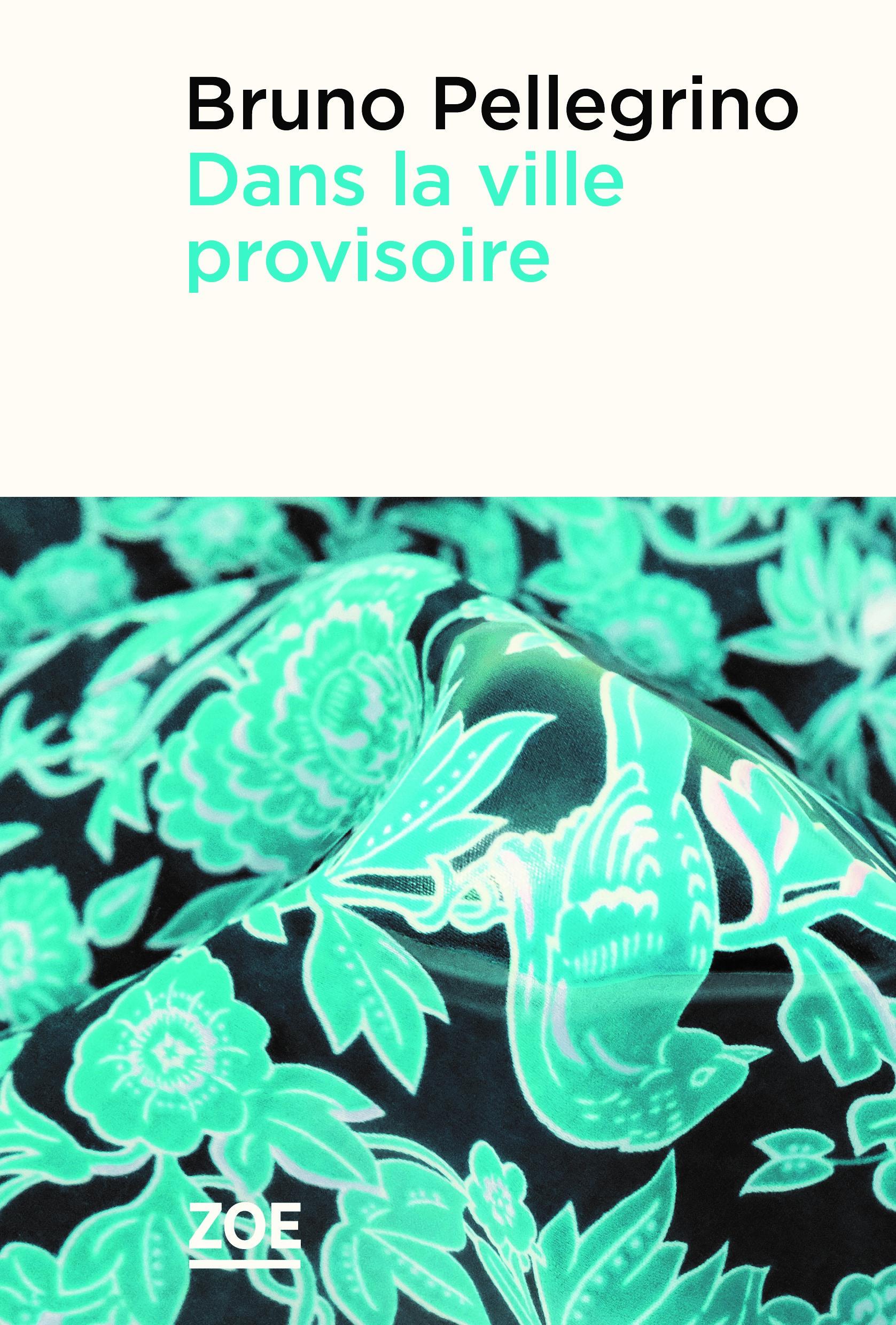 La couverture du livre "Dans la ville provisoire" de Bruno Pellegrino. [Editions Zoé]