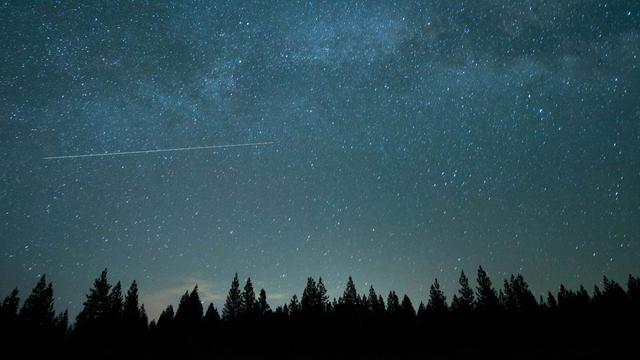 Vue d'un ciel étoilé de nuit qui surplombe une forêt. [Unsplash - Wil Stewart]