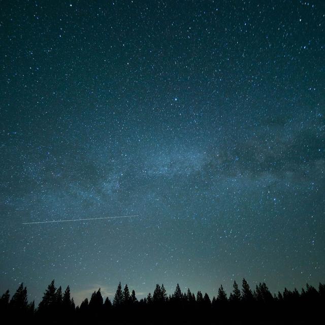 Vue d'un ciel étoilé de nuit qui surplombe une forêt. [Unsplash - Wil Stewart]