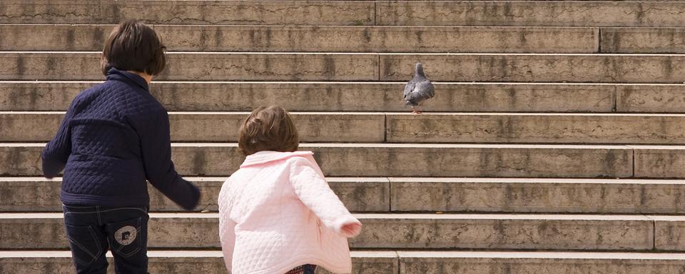 Adoption 4/5: un beau bizarre. [AFP - Jacques Loic / Photononstop]