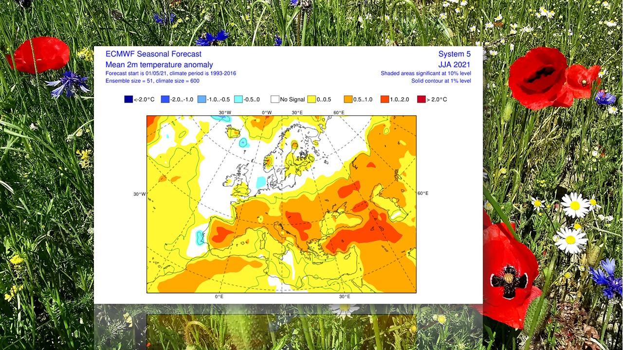 Anomalies de températures prévues par le Centre Européen (ECMWF) pour les mois de juin, juillet et août 2021. [RTS - Cristina M. Fedele]