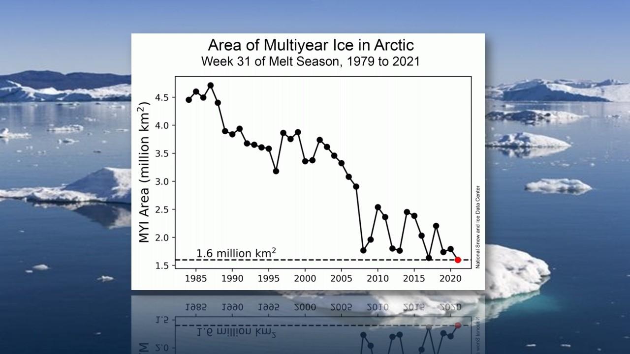 Superficie de la glace pluriannuelle de 1979 à nos jours. [NSIDC]