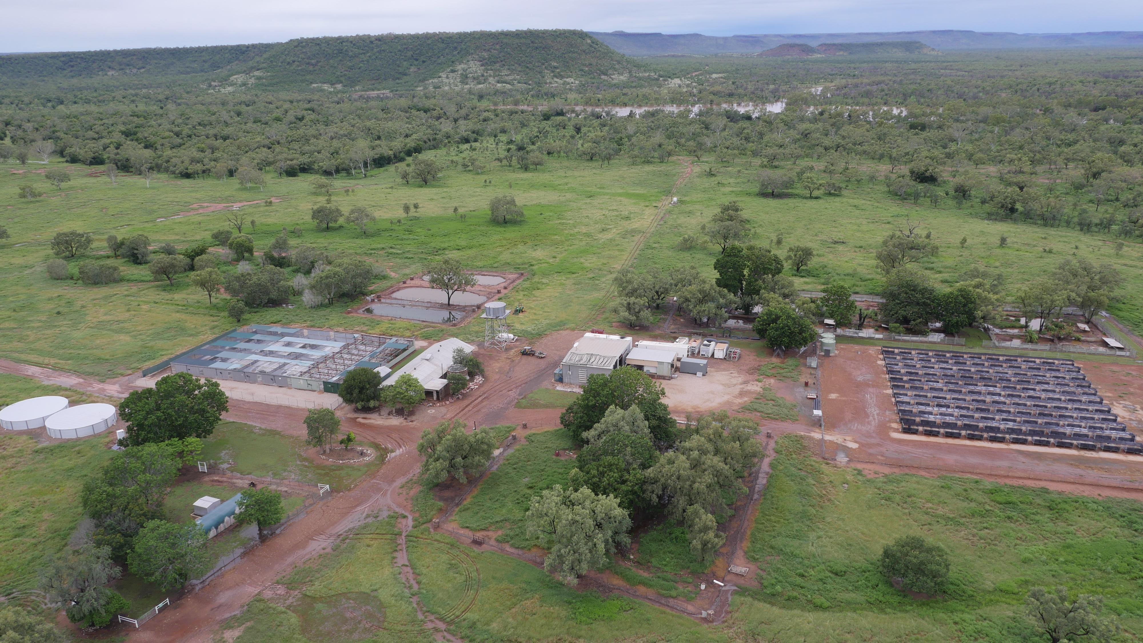 Vue aérienne de la ferme de Coolibah, dans le Territoire du Nord de l'Australie, appartenant au groupe de luxe LVMH. [RTS - Grégory Plesse]
