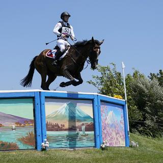 Le cheval de Robin Godel a été euthanasié après un accident dans le concours complet. [AP - Carolyn Kaster]
