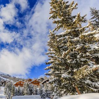 Paysage hivernal, arbres enneigés dans les Alpes suisses. [depositphotos - Gorilla]