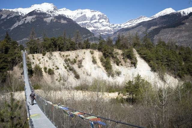 La réserve du Bois de Finges en avril 2021. [Keystone - Laurent Gilliéron]