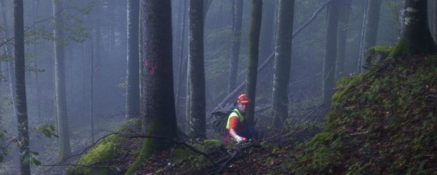 Un bûcheron dans la brume. [Keystone - Gaetan Bally]