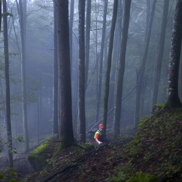 Un bûcheron dans la brume. [Keystone - Gaetan Bally]