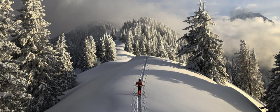 Le ski de randonnée provoque 19 décès en moyenne chaque année en Suisse. [KEYSTONE - GIAN EHRENZELLER]