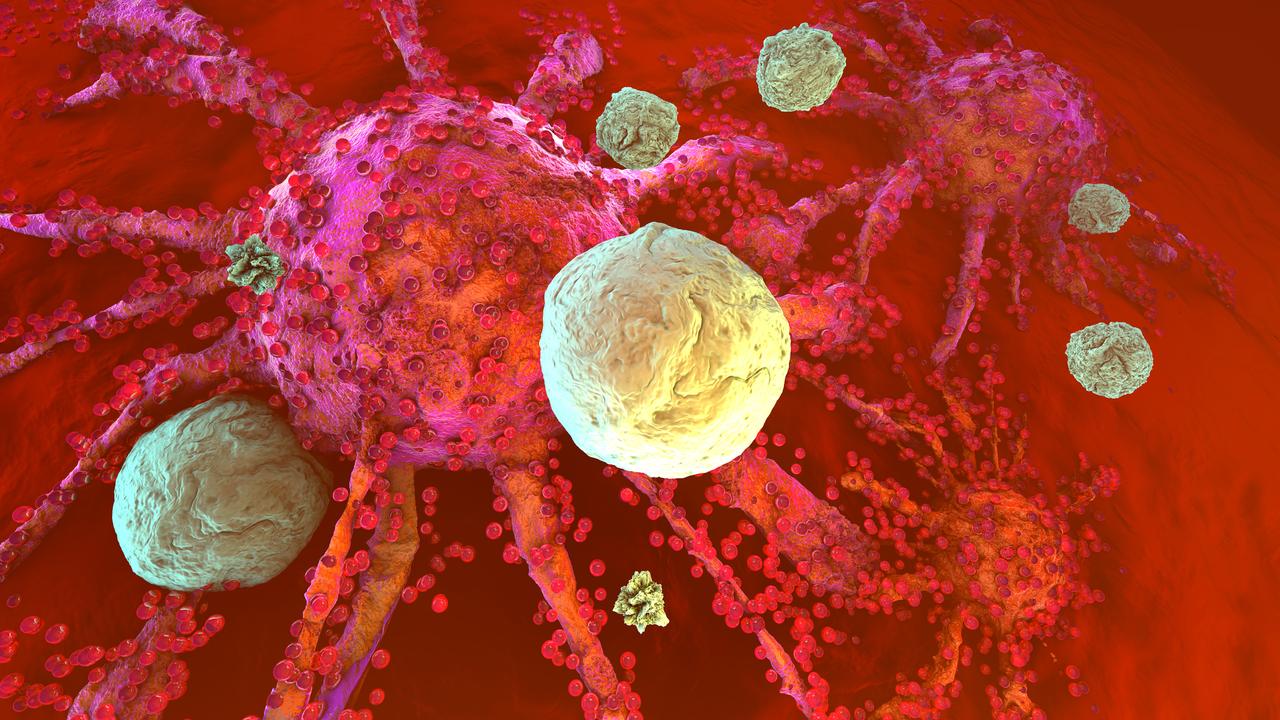 L'immunothérapie porte de grands espoirs dans la lutte contre le cancer.
Spectral
Depositphotos [Spectral]