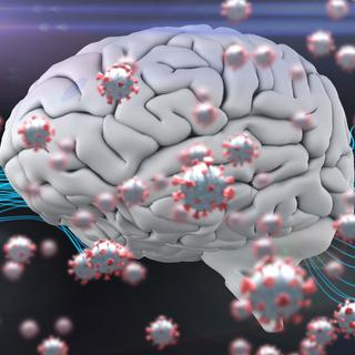 Le Sars-Cov2 peut avoir des effets sur le cerveau.
vectorfusionart
Depositphotos [vectorfusionart]