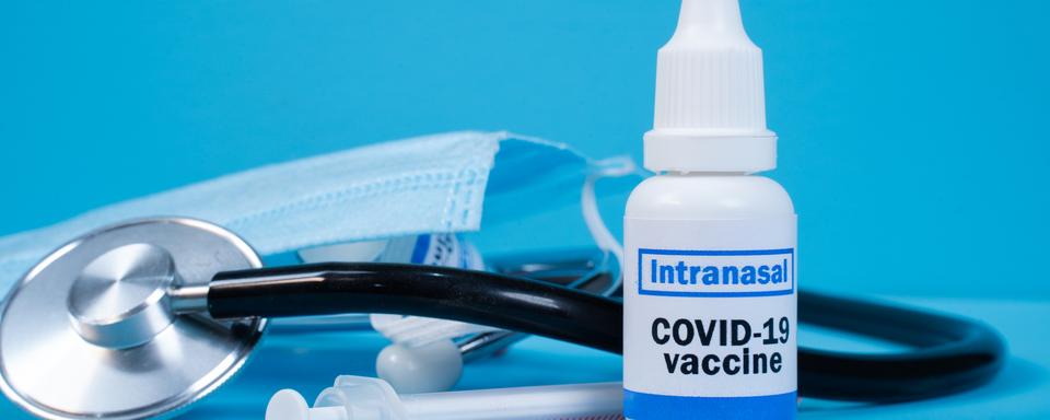 La vaccination nasale pourrait s'ajouter à l'injection contre le Covid-19.
Lakshmiprasad
Depositphotos [Lakshmiprasad]