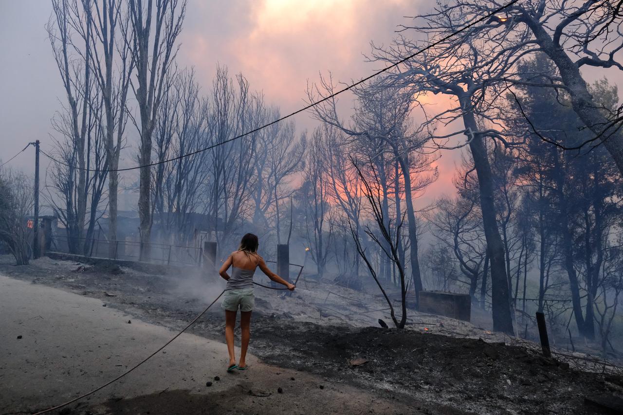 Les feux de forêt ont dévasté cette banlieue dans le nord d'Athènes. [AFP - Alexandros Michailidis / SOOC]