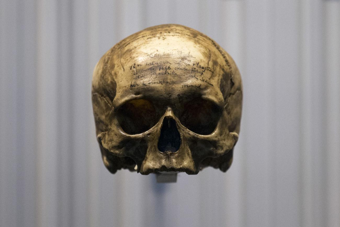 Le crâne du philosophe René Descartes (1596-1650). Musée de l'Homme, Paris, octobre 2015. [Keystone/AP photo - François Mori]