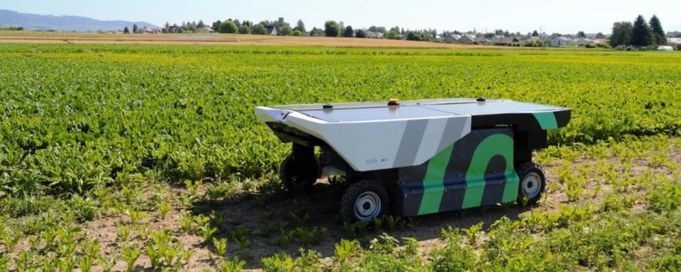 Nouvelles technologies agricoles: des robots pour désherber, une solution durable? [© Ecorobotix]