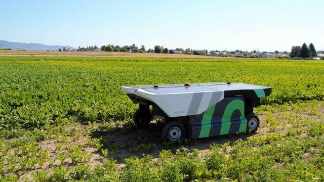 Nouvelles technologies agricoles: des robots pour désherber, une solution durable? [© Ecorobotix]