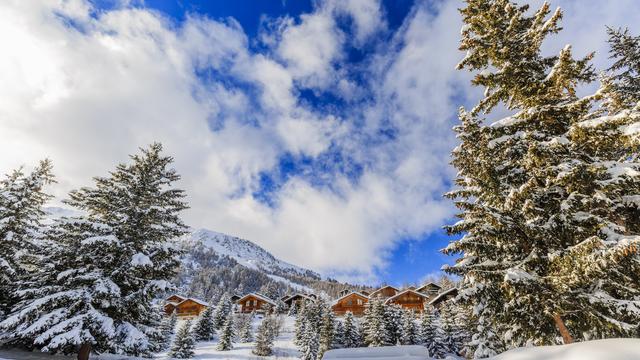 Paysage hivernal, arbres enneigés dans les Alpes suisses. [depositphotos - Gorilla]