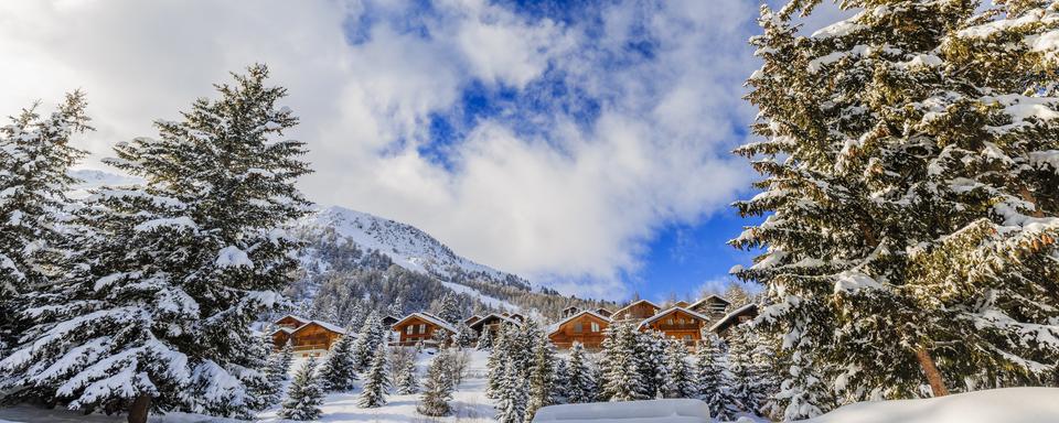 Paysage hivernal, arbres enneigés dans les Alpes suisses. [depositphotos - Gorilla]