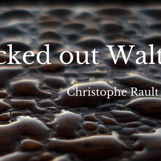 Locked out Waltz. [Christophe Rault]