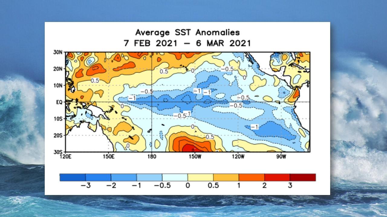 Anomalie moyenne de températures à la surface de l'océan entre le 7 février et le 6 mars 2021 [NCEP]
