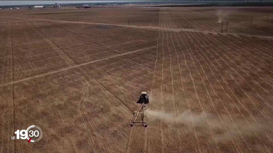 La Californie subit une importante sécheresse, avec des risques d'incendies et des conséquences économiques annoncées