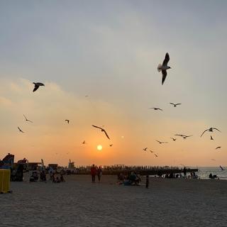 La plage de Dubaï. [DR - Auréline Falconnier]