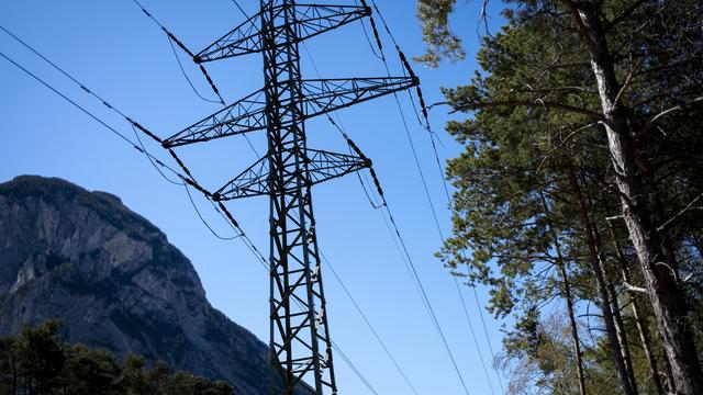 Les fournisseurs d'électricité sont trop peu protégés contre les cyberattaques. [KEYSTONE - Laurent Gillieron]