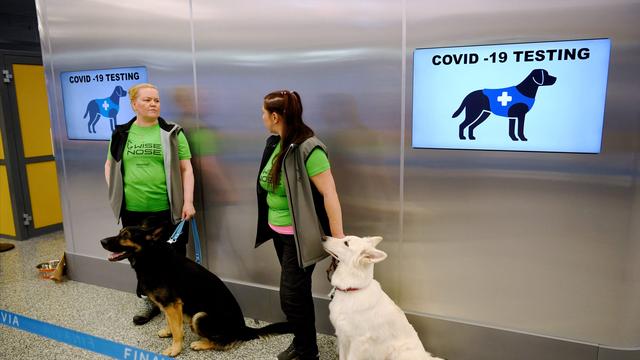 Les brigades de chiens renifleurs sont déjà déployées à l'arrivée de l'aéroport d'Helsinki pour détecter le Covid-19. [AFP - ANTTI AIMO-KOIVISTO]