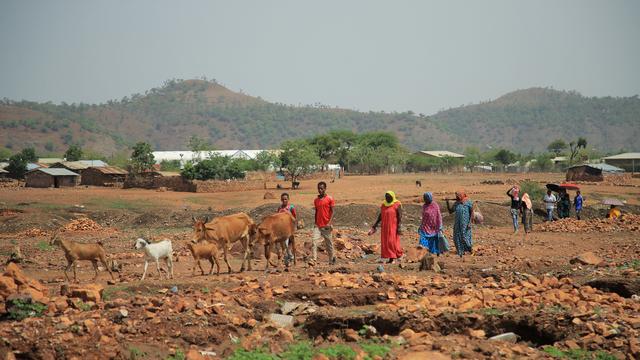 Des résidents passent devant le camp de réfugiés d'Adi Harush dans la ville de Mai Tsberi, dans la région du Tigré, en Éthiopie. [Reuters - Tiksa Negeri]