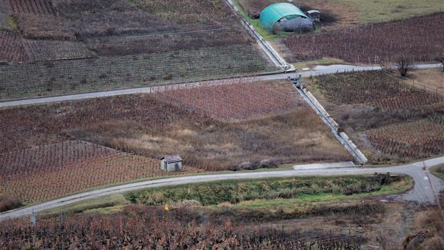 L'abandon de vignes prend de l'ampleur en Valais, ici dans la région Sion-Conthey. [RTS - Yvan Illi]