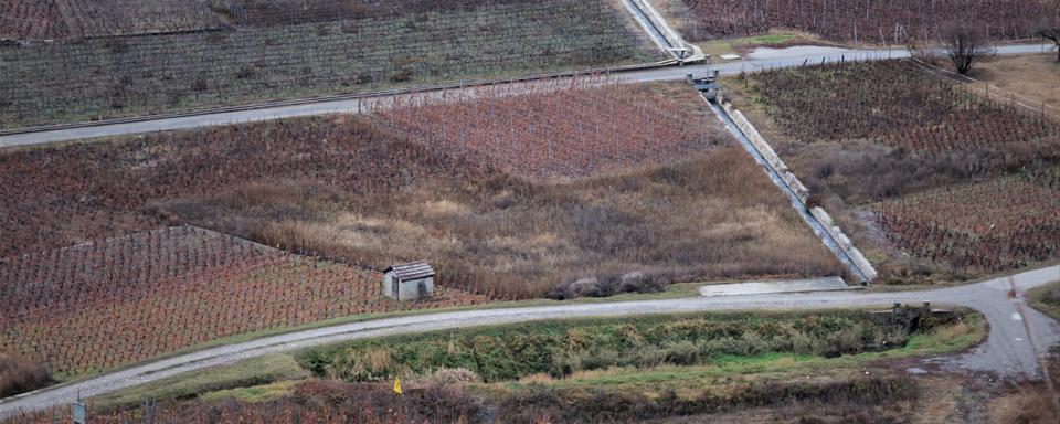 L'abandon de vignes prend de l'ampleur en Valais, ici dans la région Sion-Conthey. [RTS - Yvan Illi]