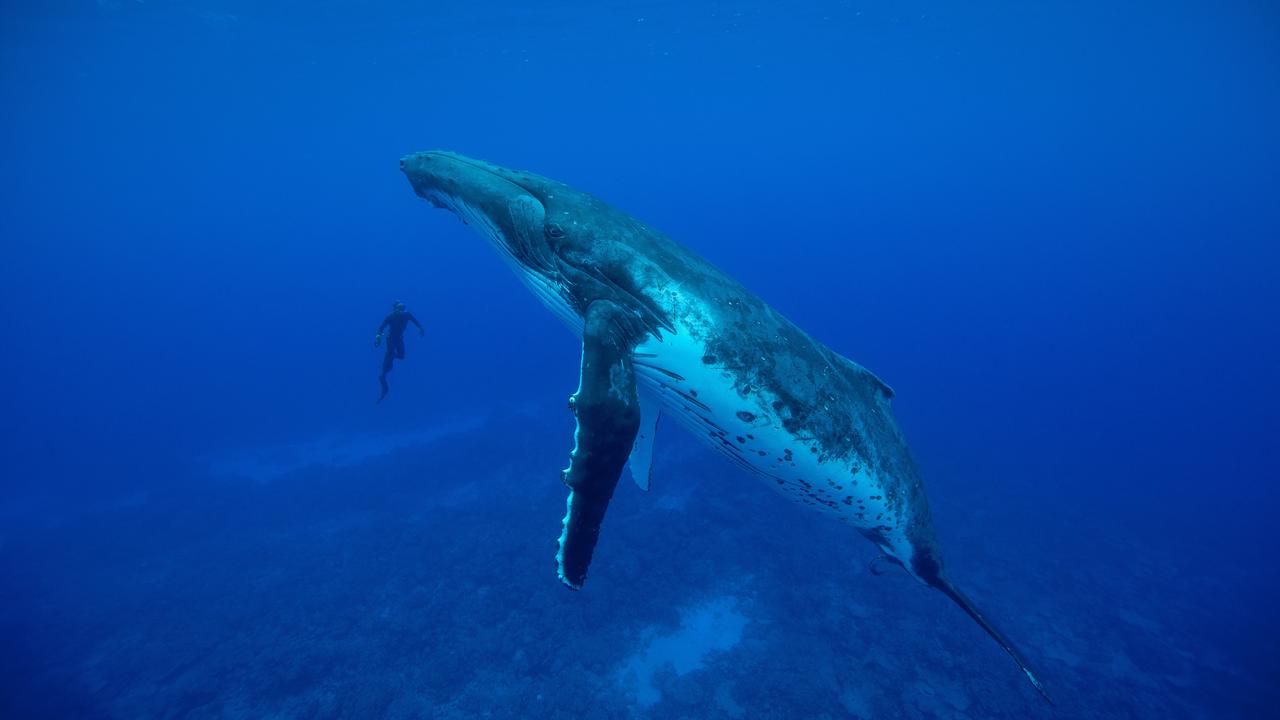 Un pêcheur sain et sauf après avoir été 