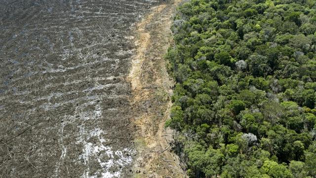 Une déforestation record en Amazonie pour un mois de mai. [AFP - Florian Plaucheur]