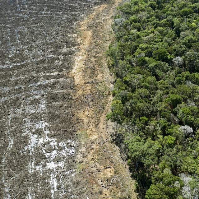 Une déforestation record en Amazonie pour un mois de mai. [AFP - Florian Plaucheur]