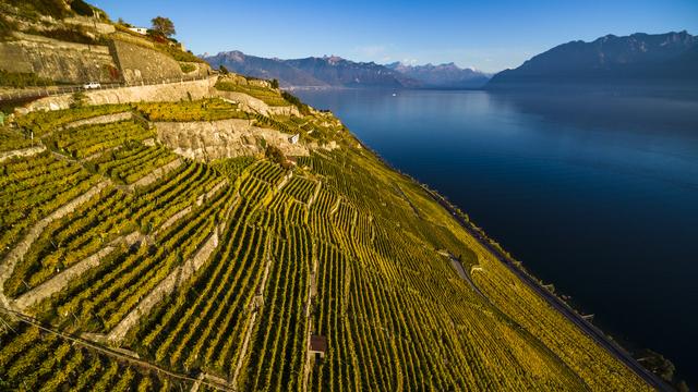 La région de Lavaux est inscrite au patrimoine de l'UNESCO. [Keystone - Valentin Flauraud]