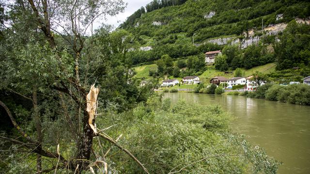 Une forêt jurassienne au bord du Doub, le 14 juillet 2021 à Saint-Ursanne. [Keystone - Jean-Christophe Bott]