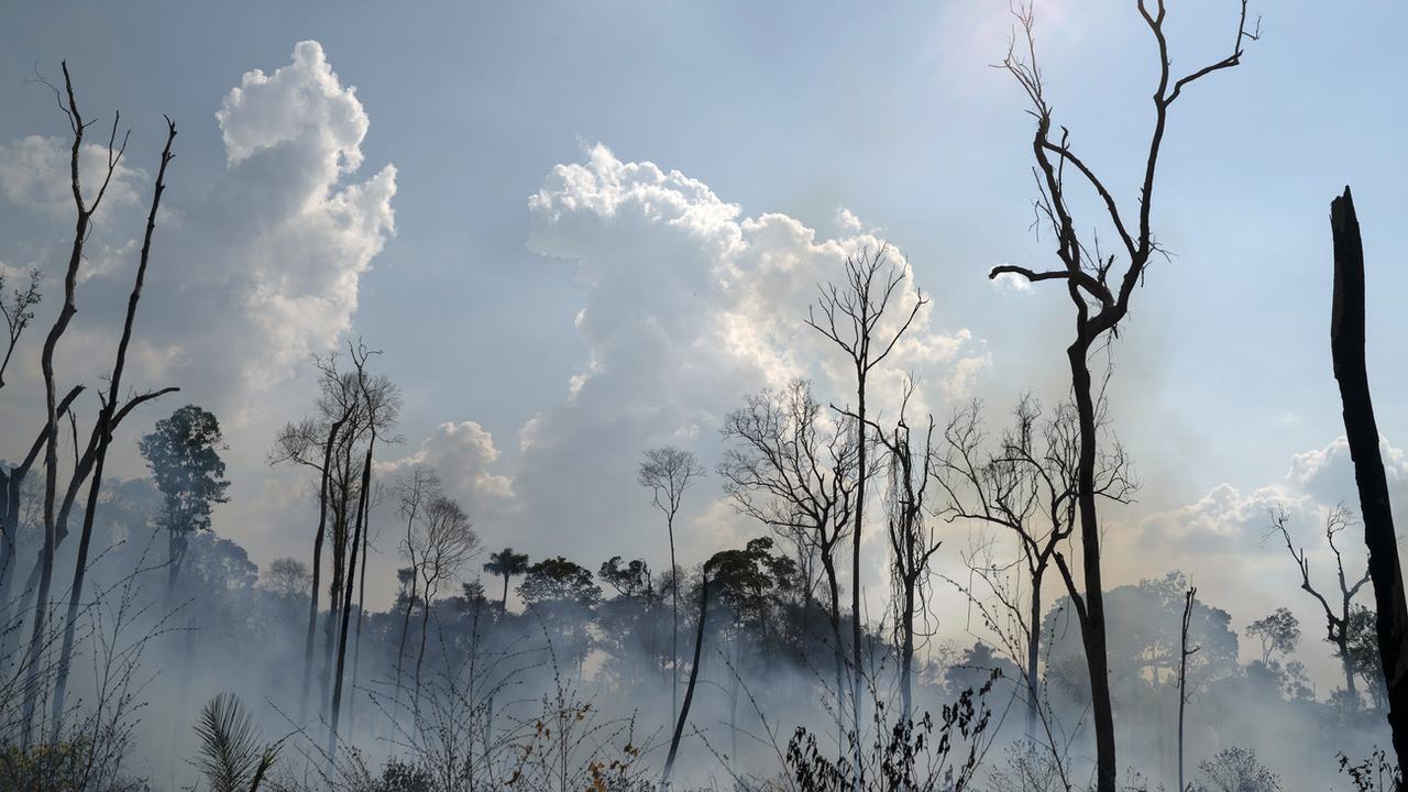 Des feux dans la forêt amazonienne brésilienne, le 25 août 2019 à Novo Progresso. [AP/Keystone - Leo Correa]