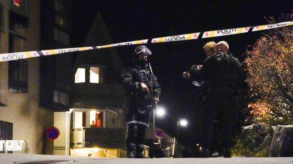 Un homme muni d'un arc et de flèches a tué plusieurs personnes en Norvège. [AFP - Håkon Mosvold Larsen]