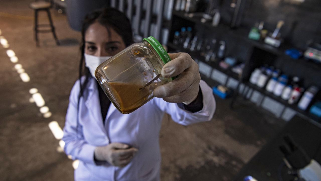 La biologiste Nadac Reales tient dans sa main un bocal dans lequel un clou est désintégré par des bactéries. [AFP - Martin Bernetti]
