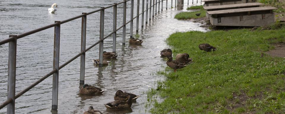 Inondation des berges du Rhône suite aux fortes pluies. Genève, le 14 juillet 2021. [Keystone - Salvatore Di Nolfi]