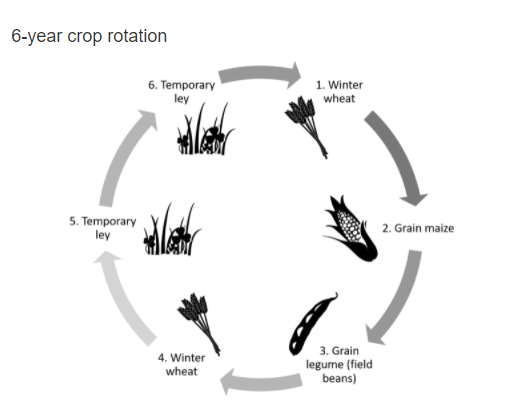 Méthode de rotation utilisée pendant l'étude. [Agroscope]