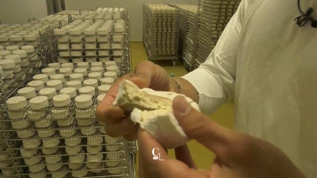 Fromages sans lait au pays de l'Emmental