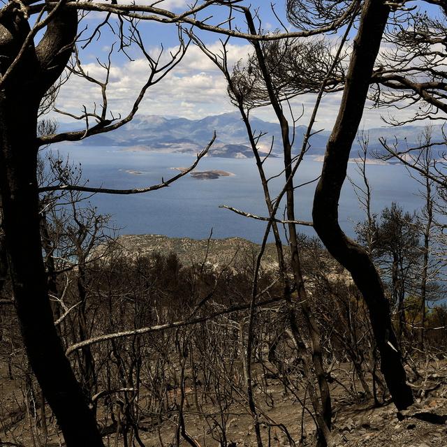 Incendies en Grèce: "Une immense catastrophe écologique" [Keystone - Vassilis Psomas]