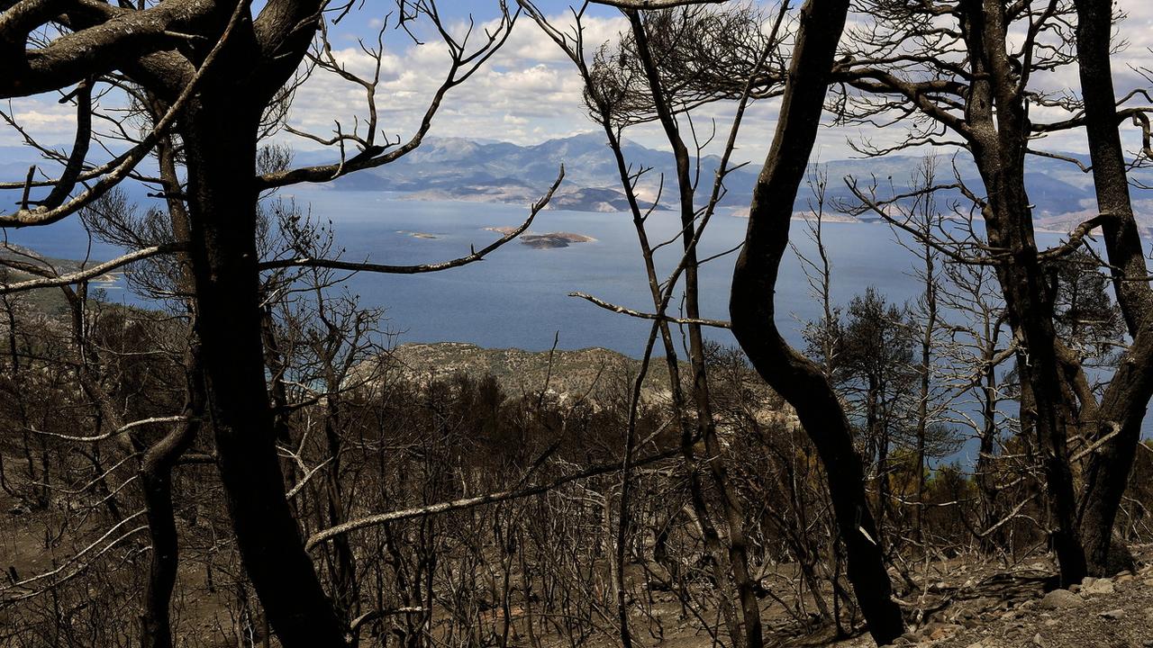 Incendies en Grèce: "Une immense catastrophe écologique" [Keystone - Vassilis Psomas]