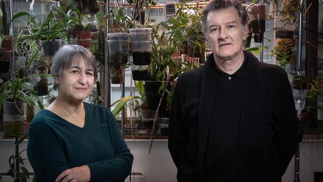 Les architectes Anne Lacaton et Jean-Philippe Vassal. [AFP - Joel Saget]