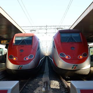 Deux trains italiens en gare de Rome en octobre 2014. [DPA/AFP - Andreas Gebert.]
