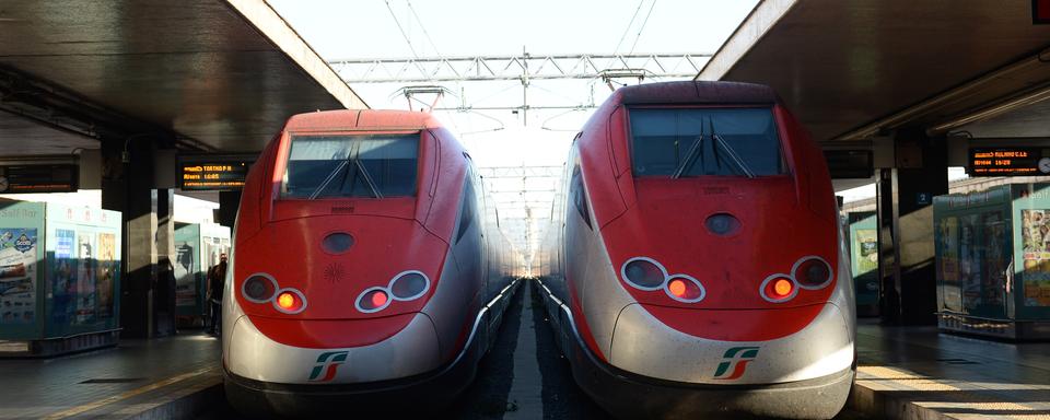 Deux trains italiens en gare de Rome en octobre 2014. [DPA/AFP - Andreas Gebert.]