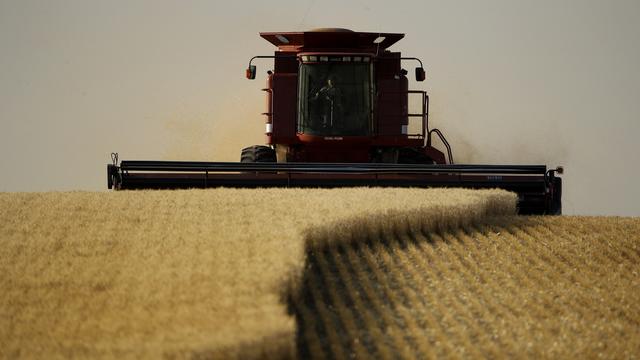 Les prix alimentaires ont bondi de 40% en un an, selon la FAO. [Keystone - Charlie Riedel]